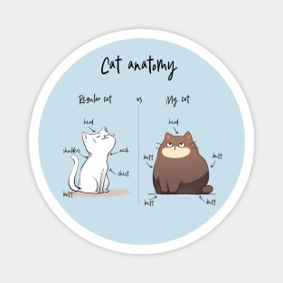 Cat Anatomy Magnet